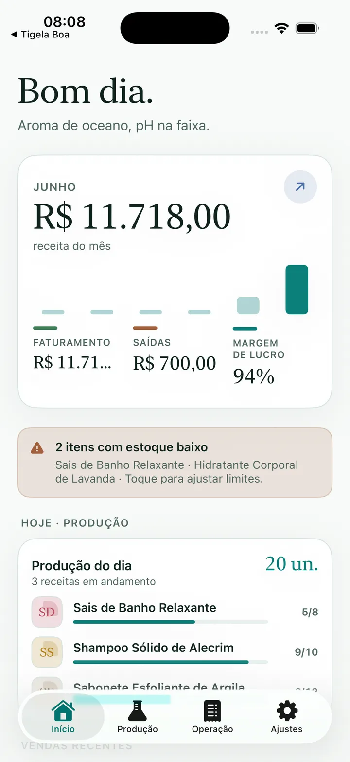 Artisan View, visão geral financeira no iPhone